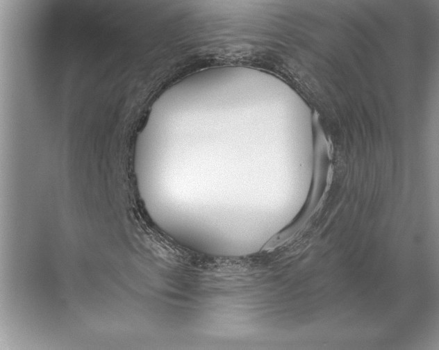 X0000074941153200609221657