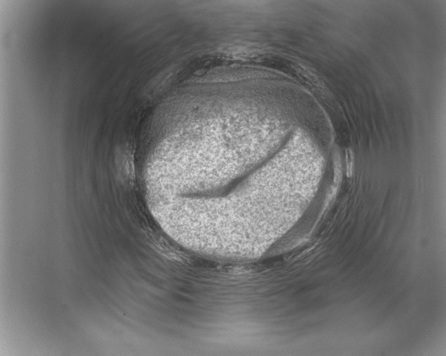 X0000074941155200609221657