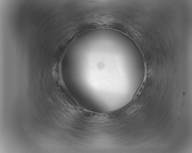 X0000074941156200609221657