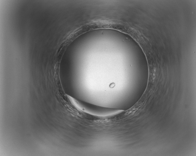 X0000074941157200609221657