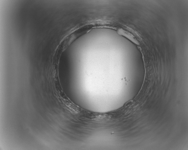 X0000074941160200609221657