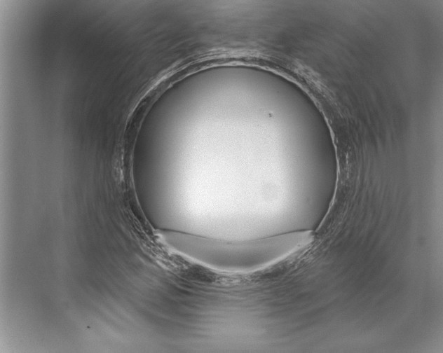 X0000074941165200609221657