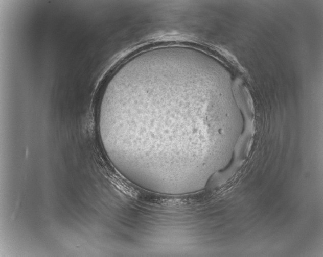 X0000074941167200609221657