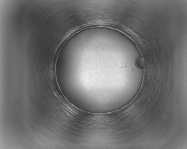 X0000074941170200609221657