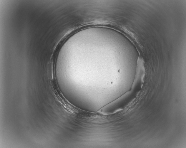 X0000074941171200609221657