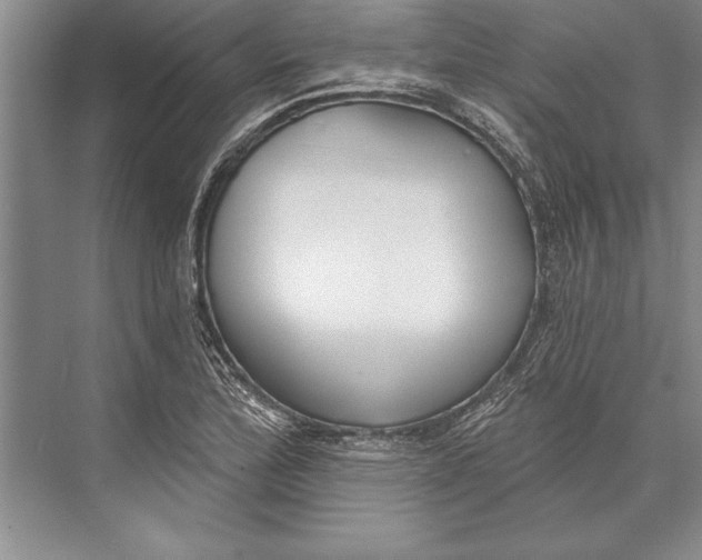 X0000074941172200609221657