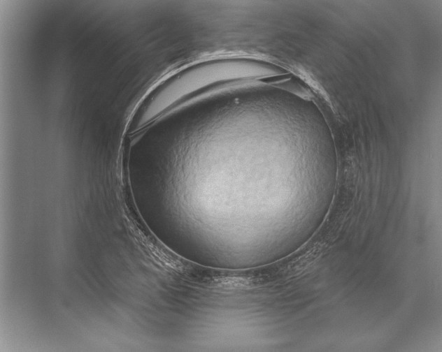 X0000074941173200609221657