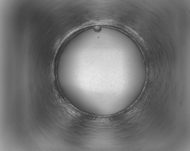 X0000074941174200609221657