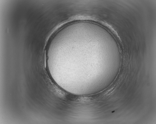 X0000074941175200609221657