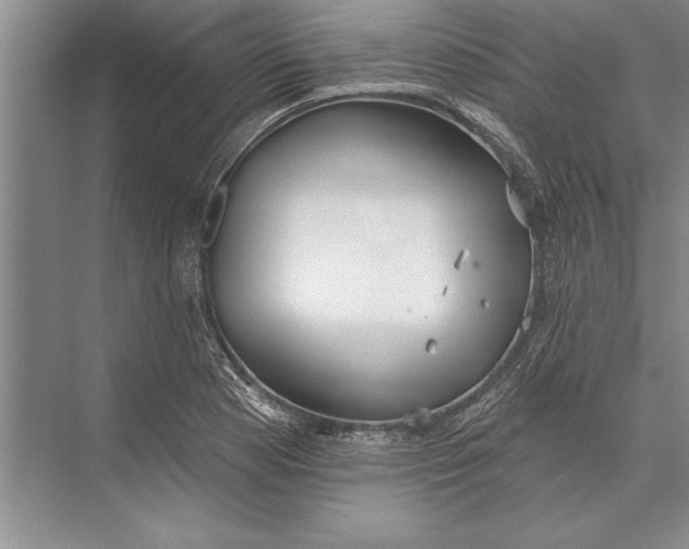 X0000074941177200609221657