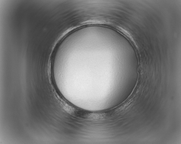 X0000074941179200609221657