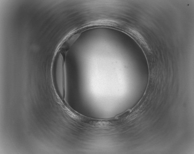 X0000074941180200609221657