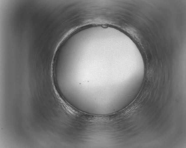 X0000074941183200609221657