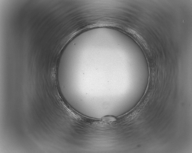 X0000074941185200609221657