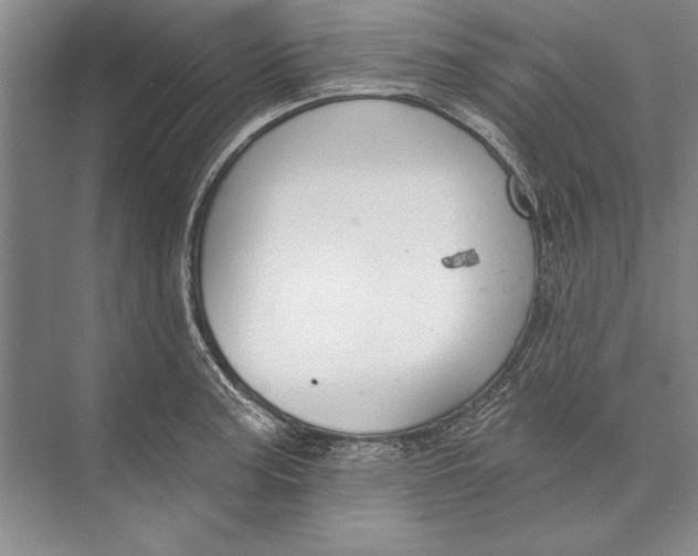 X0000074941187200609221657