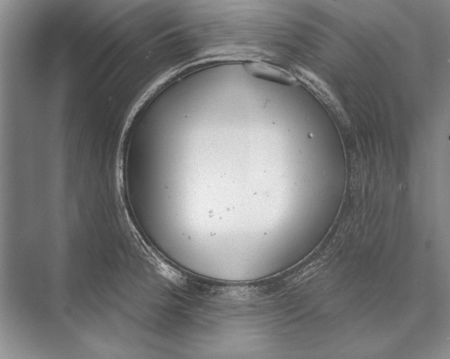 X0000074941188200609221657