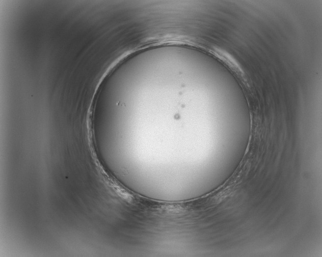 X0000074941190200609221657