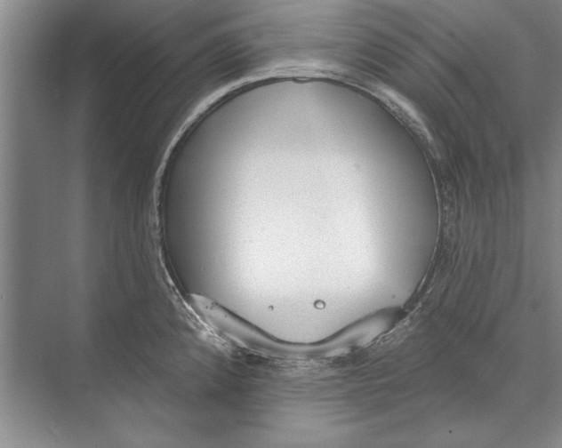 X0000074941192200609221657