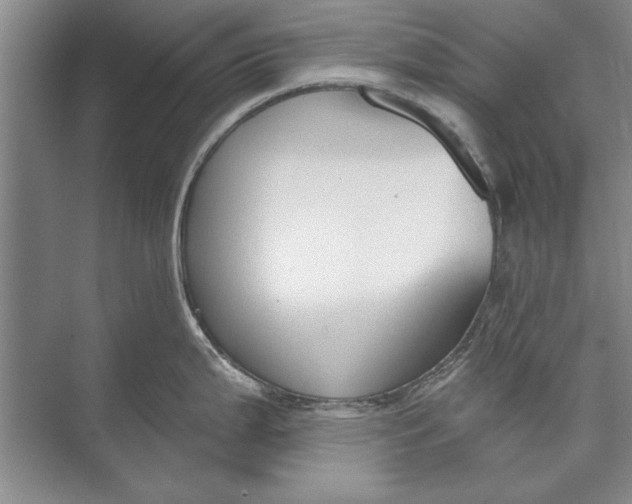 X0000074941199200609221657