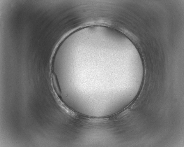 X0000074941200200609221657