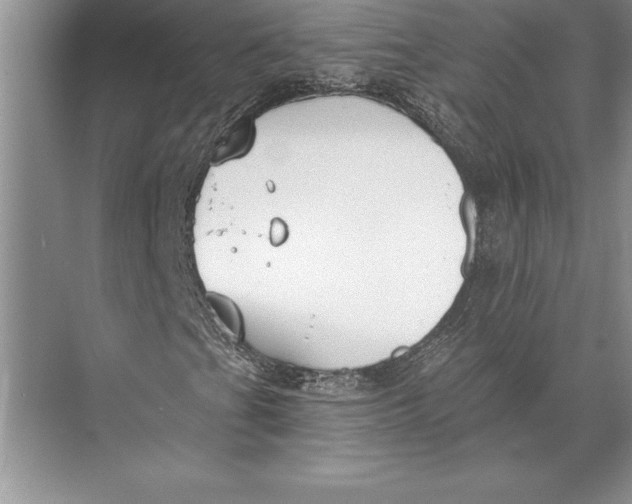 X0000074941201200609221656