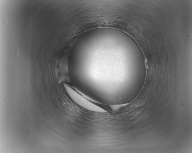 X0000074941202200609221656