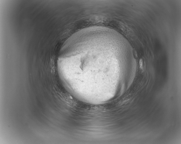 X0000074941203200609221656