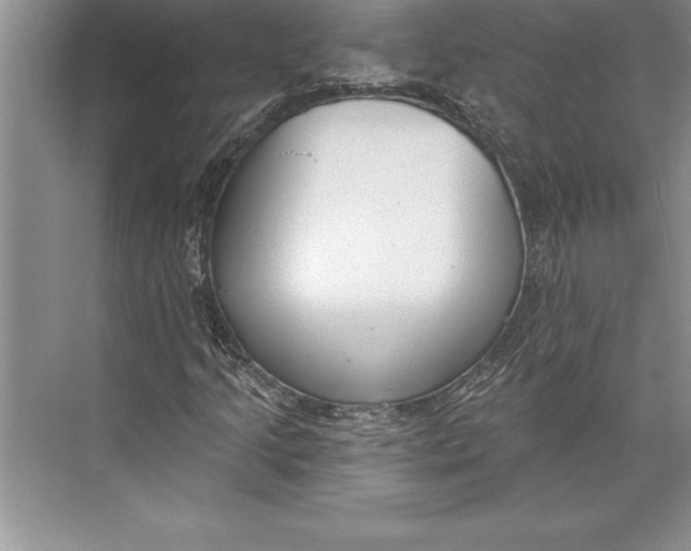 X0000074941205200609221656