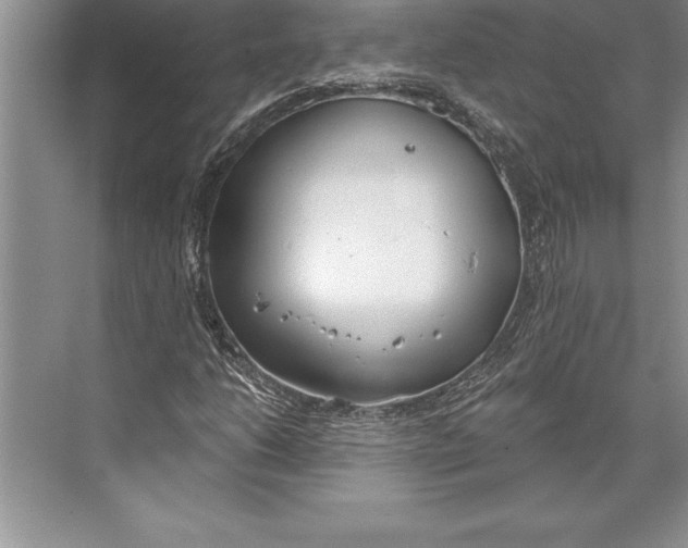 X0000074941206200609221656