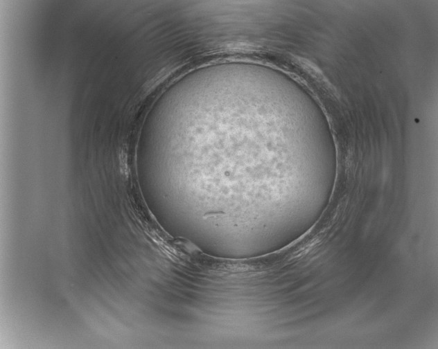 X0000074941209200609221656