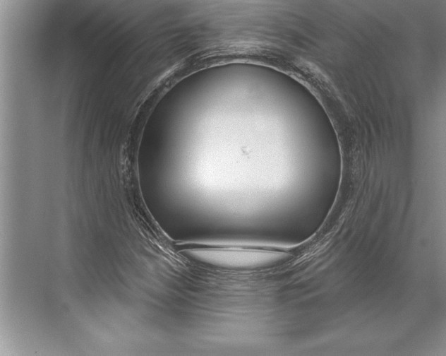 X0000074941210200609221656