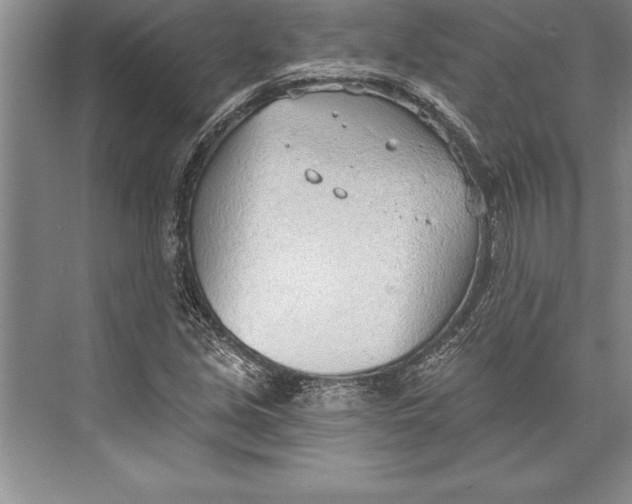 X0000074941213200609221656