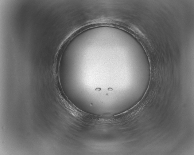 X0000074941216200609221656