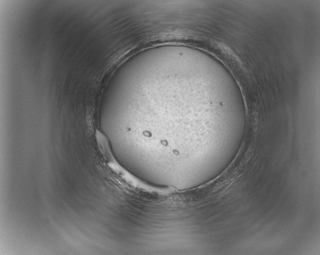 X0000074941217200609221656