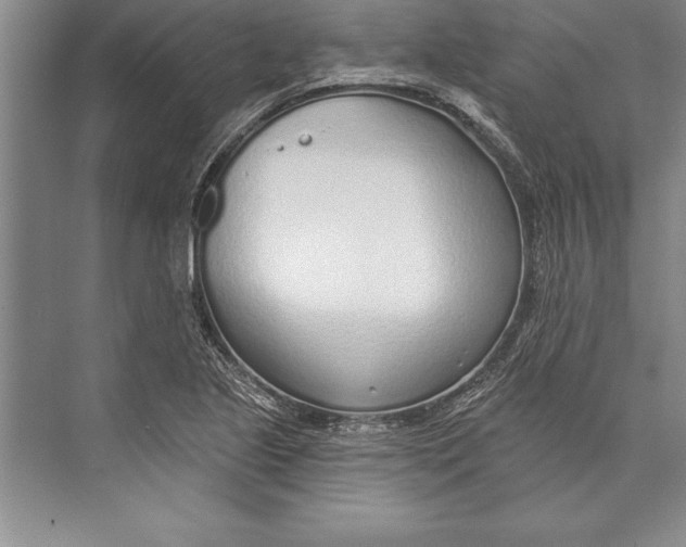 X0000074941221200609221656