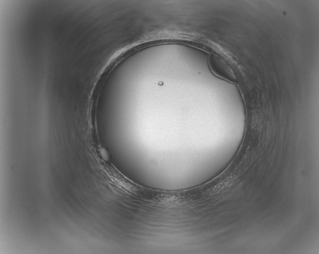 X0000074941222200609221656