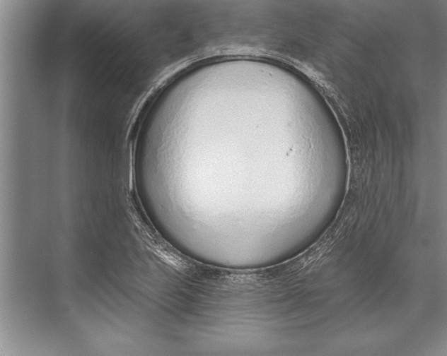 X0000074941223200609221656