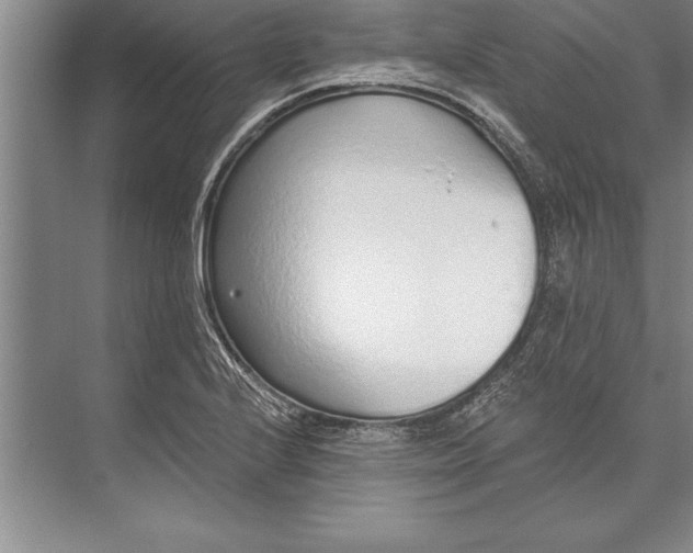 X0000074941224200609221656