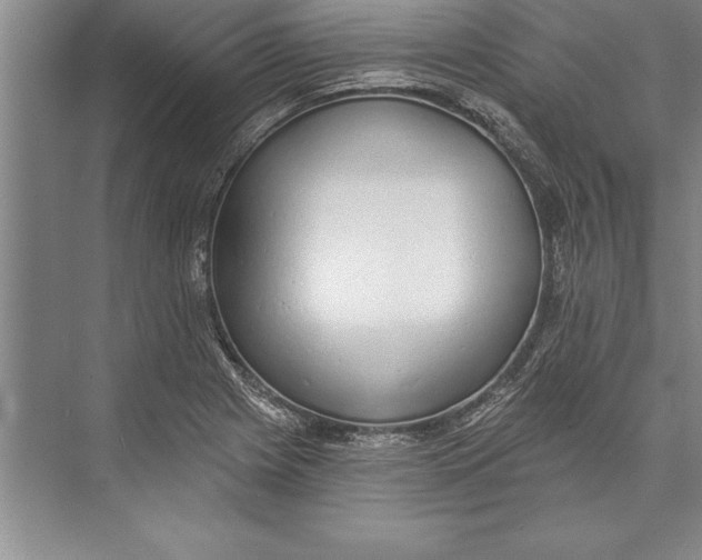 X0000074941225200609221656