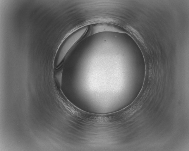 X0000074941226200609221656