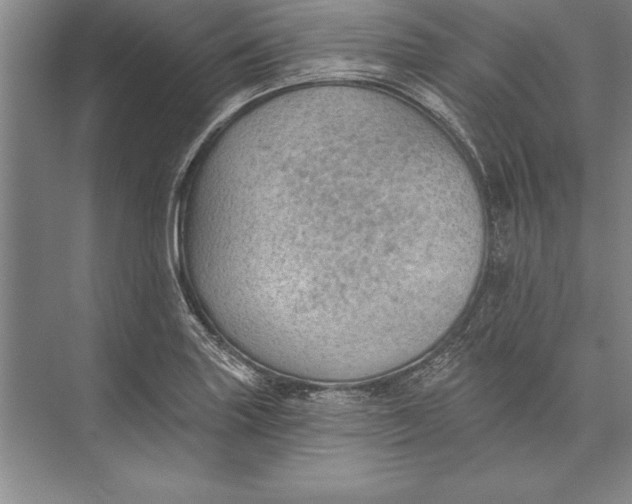 X0000074941227200609221656