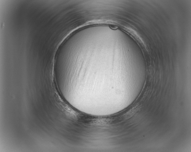 X0000074941228200609221656