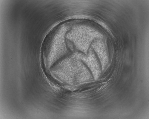 X0000074941229200609221656