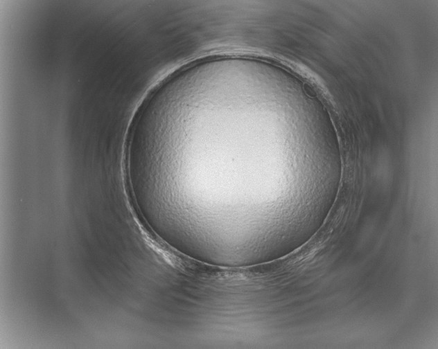 X0000074941231200609221656