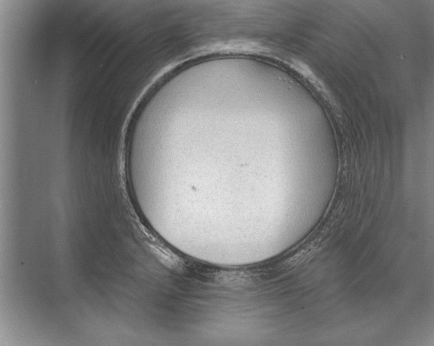 X0000074941232200609221656