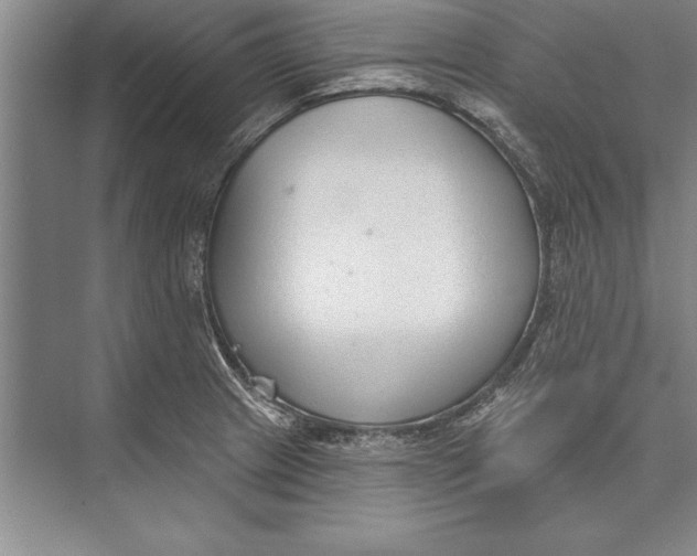 X0000074941233200609221656