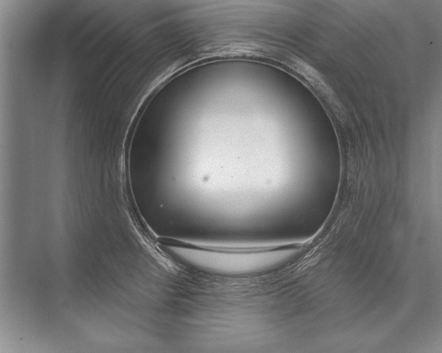 X0000074941234200609221656