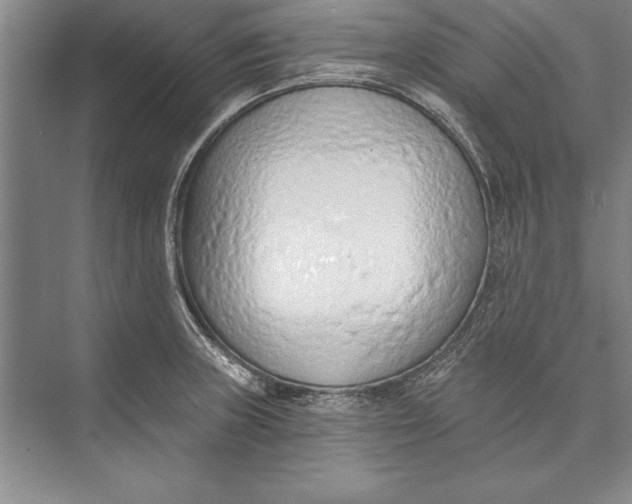 X0000074941235200609221656