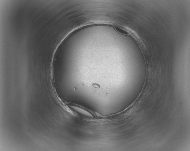 X0000074941236200609221656