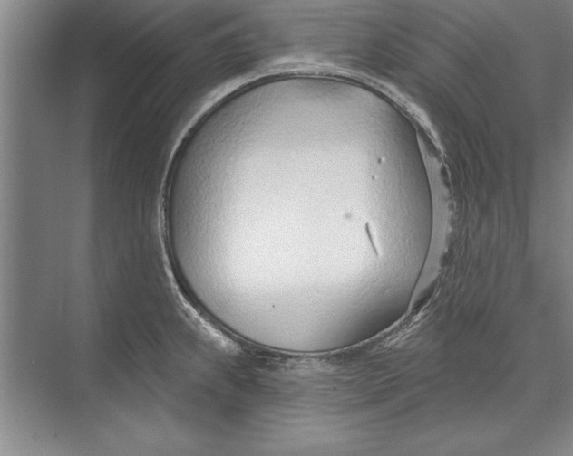 X0000074941239200609221656